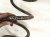 2023 Nissan Murano Strut / / Shock Absorber Rear Passenger Coil Spring 3.5l Fwd 55020 5AA0C Replacement 2023 Nissan Murano Strut / / Shock Absorber Rear Passenger Coil Spring 3.5l Fwd 55020 5AA0C Replacement thumbnail