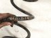 2023 Nissan Murano Strut / / Shock Absorber Rear Passenger Coil Spring 3.5l Fwd 55020 5AA0C Replacement 2023 Nissan Murano Strut / / Shock Absorber Rear Passenger Coil Spring 3.5l Fwd 55020 5AA0C Replacement thumbnail