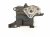 2021 Toyota Rav 4 Intake Manifold Ventilation Case Assy 12211 F0010 Replacement 2021 Toyota Rav 4 Intake Manifold Ventilation Case Assy 12211 F0010 Replacement thumbnail