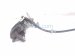 2017 Honda Accord Rear Passenger Brake Caliper 43018 T2M P01 Replacement 2017 Honda Accord Rear Passenger Brake Caliper 43018 T2M P01 Replacement thumbnail
