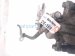 2017 Honda Accord Rear Driver Brake Caliper 43019 T2M P01 Replacement 2017 Honda Accord Rear Driver Brake Caliper 43019 T2M P01 Replacement thumbnail