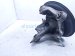 2017 Honda Accord Axle Stub Rear Passenger Spindle Knuckle Hub 52210 T2F A00 Replacement 2017 Honda Accord Axle Stub Rear Passenger Spindle Knuckle Hub 52210 T2F A00 Replacement thumbnail