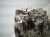 2017 Honda Accord Automatic Transmission = 133k Mi 20031 5C5 A13 Replacement 2017 Honda Accord Automatic Transmission = 133k Mi 20031 5C5 A13 Replacement thumbnail