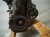 2017 Honda Accord Long Block Engine / Motor = 133k Mi 10002 5A2 A10 Replacement 2017 Honda Accord Long Block Engine / Motor = 133k Mi 10002 5A2 A10 Replacement thumbnail