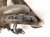 2022 Hyundai Elantra Rear Oxygen Sensor 2.0l 39210 2J750 Replacement 2022 Hyundai Elantra Rear Oxygen Sensor 2.0l 39210 2J750 Replacement thumbnail