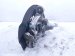 2024 Toyota Rav 4 Front Driver Spindle Knuckle Hub Awd 43202 0R010 Replacement 2024 Toyota Rav 4 Front Driver Spindle Knuckle Hub Awd 43202 0R010 Replacement thumbnail