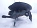 2024 Toyota Rav 4 Axle Stub Rear Passenger Spindle Knuckle Hub Awd 42304 33050 Replacement 2024 Toyota Rav 4 Axle Stub Rear Passenger Spindle Knuckle Hub Awd 42304 33050 Replacement thumbnail