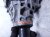 2024 Hyundai Santa Fe Transfer Case Assy 2.5l Awd 47300 2N000 Replacement 2024 Hyundai Santa Fe Transfer Case Assy 2.5l Awd 47300 2N000 Replacement thumbnail