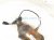 2012 Audi A6 Audi Oxygen Sensor 3.0l 06E 906 265 AP Replacement 2012 Audi A6 Audi Oxygen Sensor 3.0l 06E 906 265 AP Replacement thumbnail