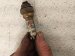 2012 Audi A6 Audi Oxygen Sensor 3.0l 06E 906 265 AP Replacement 2012 Audi A6 Audi Oxygen Sensor 3.0l 06E 906 265 AP Replacement thumbnail