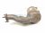 2012 Audi A6 Audi Catalytic Driver Exhaust Converter 3.0l 4G0 254 202 MX Replacement 2012 Audi A6 Audi Catalytic Driver Exhaust Converter 3.0l 4G0 254 202 MX Replacement thumbnail