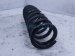 2021 Lexus Is300 Strut / / Shock Absorber Rear Passenger Coil Spring Rwd 48231 53420 Replacement 2021 Lexus Is300 Strut / / Shock Absorber Rear Passenger Coil Spring Rwd 48231 53420 Replacement thumbnail