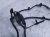 2021 Lexus Is300 Rear Passenger Abs Wheel Speed Sensor 2.0l 89545 53010 Replacement 2021 Lexus Is300 Rear Passenger Abs Wheel Speed Sensor 2.0l 89545 53010 Replacement thumbnail