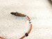 2018 Honda Odyssey Rear Lower Oxygen Sensor 36532 5MR A51 Replacement 2018 Honda Odyssey Rear Lower Oxygen Sensor 36532 5MR A51 Replacement thumbnail