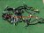 Sold 2008 Honda Civic Upper Dash Harness 32117 SVB A11 Replacement Sold 2008 Honda Civic Upper Dash Harness 32117 SVB A11 Replacement thumbnail
