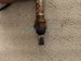 2012 Audi A6 Audi Passenger Oxygen Sensor 3.0l 06E 906 265 AP Replacement 2012 Audi A6 Audi Passenger Oxygen Sensor 3.0l 06E 906 265 AP Replacement thumbnail