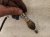 2012 Audi A6 Audi Passenger Oxygen Sensor 3.0l 06E 906 265 AP Replacement 2012 Audi A6 Audi Passenger Oxygen Sensor 3.0l 06E 906 265 AP Replacement thumbnail