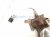2025 Honda CR V Upper Oxygen Sensor 2.0l Hybrid 36531 6MA J01 Replacement 2025 Honda CR V Upper Oxygen Sensor 2.0l Hybrid 36531 6MA J01 Replacement thumbnail