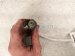 2025 Honda CR V Upper Oxygen Sensor 2.0l Hybrid 36531 6MA J01 Replacement 2025 Honda CR V Upper Oxygen Sensor 2.0l Hybrid 36531 6MA J01 Replacement thumbnail
