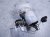2012 Audi A6 Audi Gas / Fuel Pump (tank Mounted) 4G0 919 051 K Replacement 2012 Audi A6 Audi Gas / Fuel Pump (tank Mounted) 4G0 919 051 K Replacement thumbnail