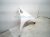2022 Honda Odyssey Front Passenger Fender White 60211 THR 305ZZ Replacement 2022 Honda Odyssey Front Passenger Fender White 60211 THR 305ZZ Replacement thumbnail