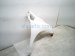 2022 Honda Odyssey Front Passenger Fender White 60211 THR 305ZZ Replacement 2022 Honda Odyssey Front Passenger Fender White 60211 THR 305ZZ Replacement thumbnail