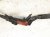 2012 Audi A6 Audi Positive Battery Cable Harness 4G0 971 225 K Replacement 2012 Audi A6 Audi Positive Battery Cable Harness 4G0 971 225 K Replacement thumbnail