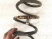 2022 Hyundai Elantra Strut / / Shock Absorber Rear Passenger Coil Spring 55330 F2250 Replacement 2022 Hyundai Elantra Strut / / Shock Absorber Rear Passenger Coil Spring 55330 F2250 Replacement thumbnail