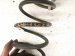 2022 Hyundai Elantra Strut / / Shock Absorber Rear Passenger Coil Spring 2.0l Fwd 55330 F2250 Replacement 2022 Hyundai Elantra Strut / / Shock Absorber Rear Passenger Coil Spring 2.0l Fwd 55330 F2250 Replacement thumbnail