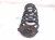 2025 Honda Civic Strut / / Shock Absorber Rear Driver Coil Spring Only Si 52441 T22 A02 Replacement 2025 Honda Civic Strut / / Shock Absorber Rear Driver Coil Spring Only Si 52441 T22 A02 Replacement thumbnail