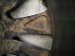 2022 Toyota Venza Front Driver Wheel / Rim 42611 48B70 Replacement 2022 Toyota Venza Front Driver Wheel / Rim 42611 48B70 Replacement thumbnail
