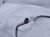 2023 Honda CR V Ac Pipe Line A/c Discharge Hose 1.5t Awd 80315 3A0 A01 Replacement 2023 Honda CR V Ac Pipe Line A/c Discharge Hose 1.5t Awd 80315 3A0 A01 Replacement thumbnail