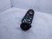 2023 Honda CR V Strut / / Shock Absorber Rear Passenger Coil Spring 1.5t Awd 52441 3A0 A51 Replacement 2023 Honda CR V Strut / / Shock Absorber Rear Passenger Coil Spring 1.5t Awd 52441 3A0 A51 Replacement thumbnail