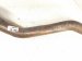 2012 Audi A6 Audi Catalytic Driver Exhaust Converter 3.0l 8K0253211C Replacement 2012 Audi A6 Audi Catalytic Driver Exhaust Converter 3.0l 8K0253211C Replacement thumbnail