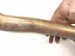 2012 Audi A6 Audi Catalytic Driver Exhaust Converter 3.0l 8K0253211C Replacement 2012 Audi A6 Audi Catalytic Driver Exhaust Converter 3.0l 8K0253211C Replacement thumbnail