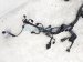 2025 Honda CR V Main Engine Wire Harness Hyb Awd 32110 69F A70 Replacement 2025 Honda CR V Main Engine Wire Harness Hyb Awd 32110 69F A70 Replacement thumbnail