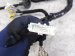 2023 Honda CR V Engine Room Harness W/fuse 1.5t Awd 3220A 3A0 A20 Replacement 2023 Honda CR V Engine Room Harness W/fuse 1.5t Awd 3220A 3A0 A20 Replacement thumbnail