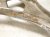 2022 Honda Odyssey Front Passenger Lower Control Arm 51350 THR A10 Replacement 2022 Honda Odyssey Front Passenger Lower Control Arm 51350 THR A10 Replacement thumbnail