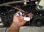 2021 Nissan Maxima Front Driver Door Black No Mirror/trim 80101 9DL0A Replacement 2021 Nissan Maxima Front Driver Door Black No Mirror/trim 80101 9DL0A Replacement thumbnail