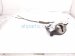 2017 Honda Accord Front Driver Door Lock Actuator & Latch 72150 T0A A02 Replacement 2017 Honda Accord Front Driver Door Lock Actuator & Latch 72150 T0A A02 Replacement thumbnail