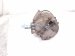 2017 Chevy Malibu Air + Clutch Ac Pump / Compressor 23299700 Replacement 2017 Chevy Malibu Air + Clutch Ac Pump / Compressor 23299700 Replacement thumbnail