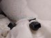 2017 Chevy Malibu Windshield Washer Reservoir Tank 84763238 Replacement 2017 Chevy Malibu Windshield Washer Reservoir Tank 84763238 Replacement thumbnail