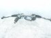 2017 Chevy Malibu And / Gear Box Power Steering Rack & Pinion 84710253 Replacement 2017 Chevy Malibu And / Gear Box Power Steering Rack & Pinion 84710253 Replacement thumbnail