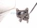 2017 Chevy Malibu Core Rear Driver Brake Caliper 23411907 Replacement 2017 Chevy Malibu Core Rear Driver Brake Caliper 23411907 Replacement thumbnail