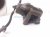 2017 Chevy Malibu Front Passenger Brake Caliper 23366269 Replacement 2017 Chevy Malibu Front Passenger Brake Caliper 23366269 Replacement thumbnail