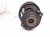 2017 Chevy Malibu Front Passenger Strut Absorber + Spring 84377782 Replacement 2017 Chevy Malibu Front Passenger Strut Absorber + Spring 84377782 Replacement thumbnail