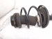 2017 Chevy Malibu Front Driver Strut Absorber + Spring 84384224 Replacement 2017 Chevy Malibu Front Driver Strut Absorber + Spring 84384224 Replacement thumbnail