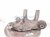 2017 Chevy Malibu Axle Stub Rear Driver Spindle Knuckle Hub 84454535 Replacement 2017 Chevy Malibu Axle Stub Rear Driver Spindle Knuckle Hub 84454535 Replacement thumbnail