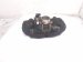 2017 Chevy Malibu Intake Manifold 12678245 Replacement 2017 Chevy Malibu Intake Manifold 12678245 Replacement thumbnail