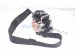 2017 Chevy Malibu Front Passenger Seat Belt Black 84497314 Replacement 2017 Chevy Malibu Front Passenger Seat Belt Black 84497314 Replacement thumbnail